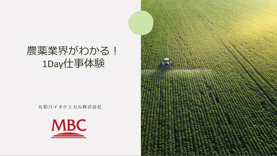 1Day仕事体験を始めました！