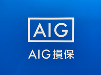 About AIG損害保険株式会社