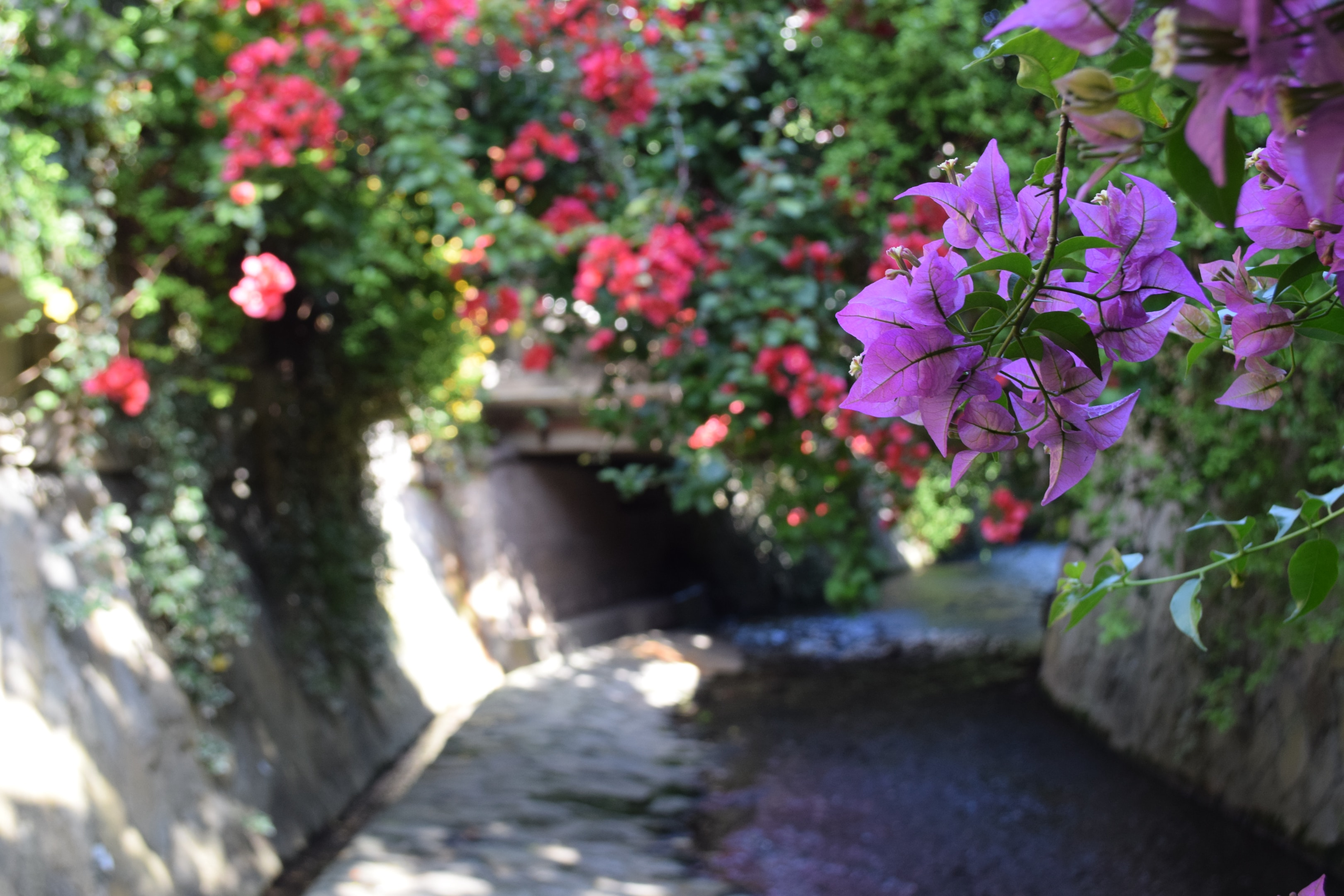 Vol.9「あたりまえ」ではない時間