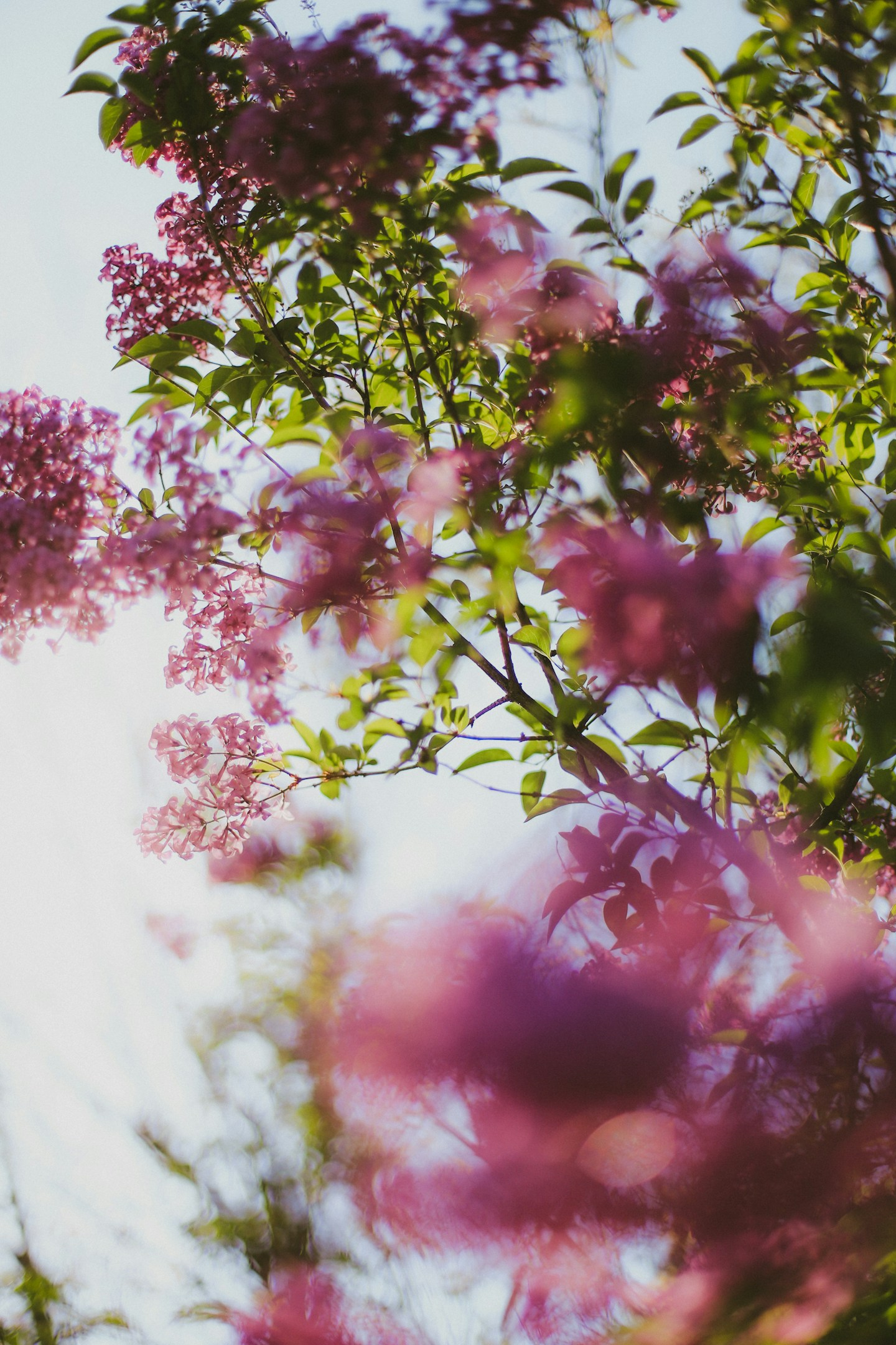 実力主義のメリット・デメリットと当事務所のスタンス