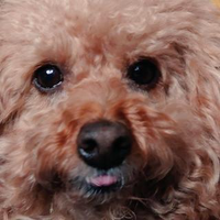 田島 佑輔さんのプロフィール