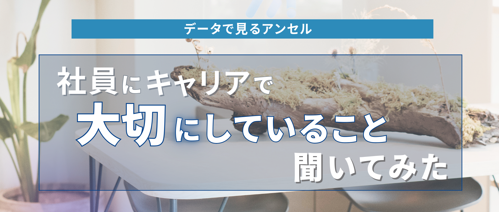社員にキャリアで大切にしてること聞いてみた🌟