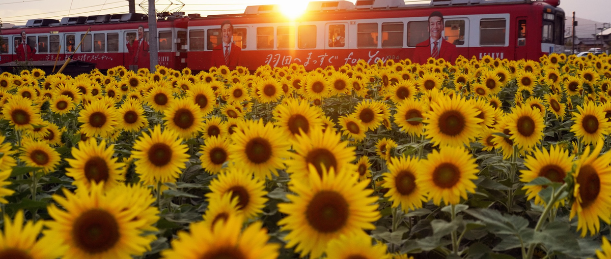 インフルエンサーアフィリエイト事業に知見のあるアドバイザー募集/SideJ