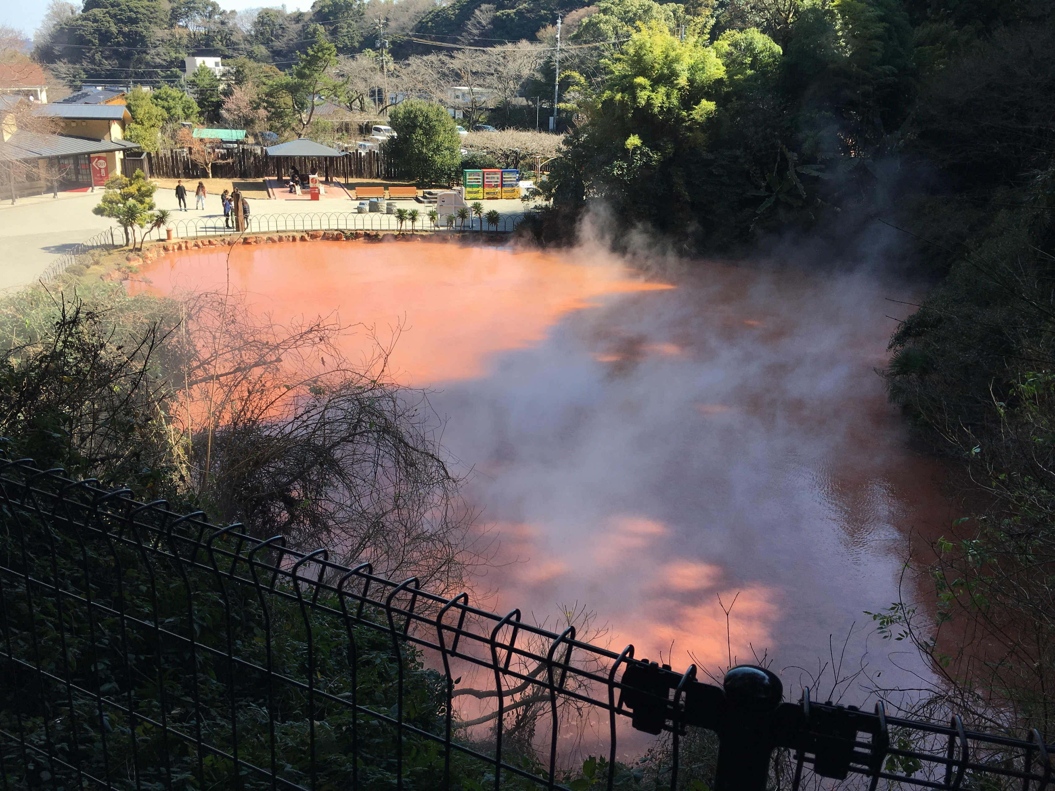 【インターンコラム】大分県のいなかっぺ大学を休学してまでトライエッジで働くそのワケとは？