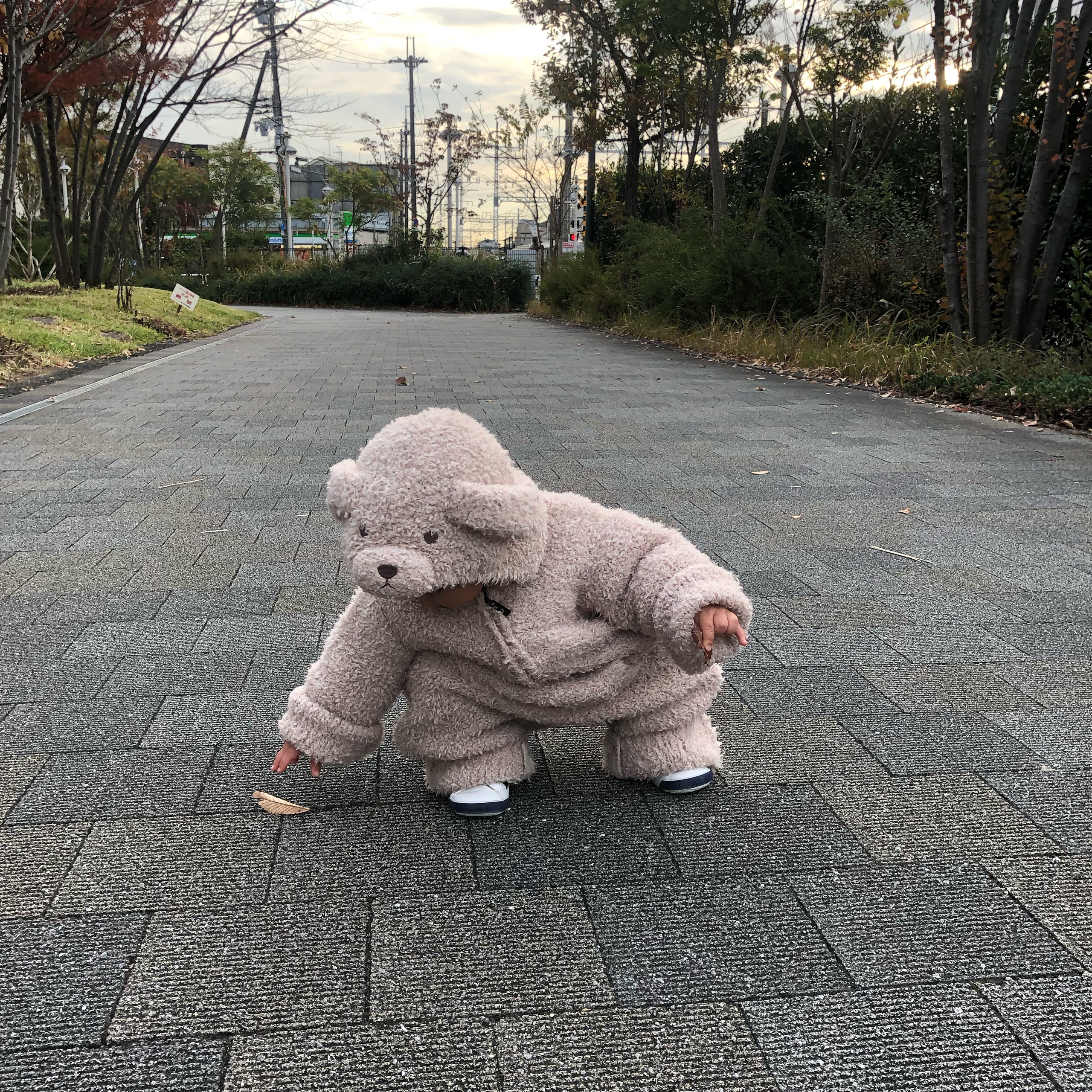 安田 将志