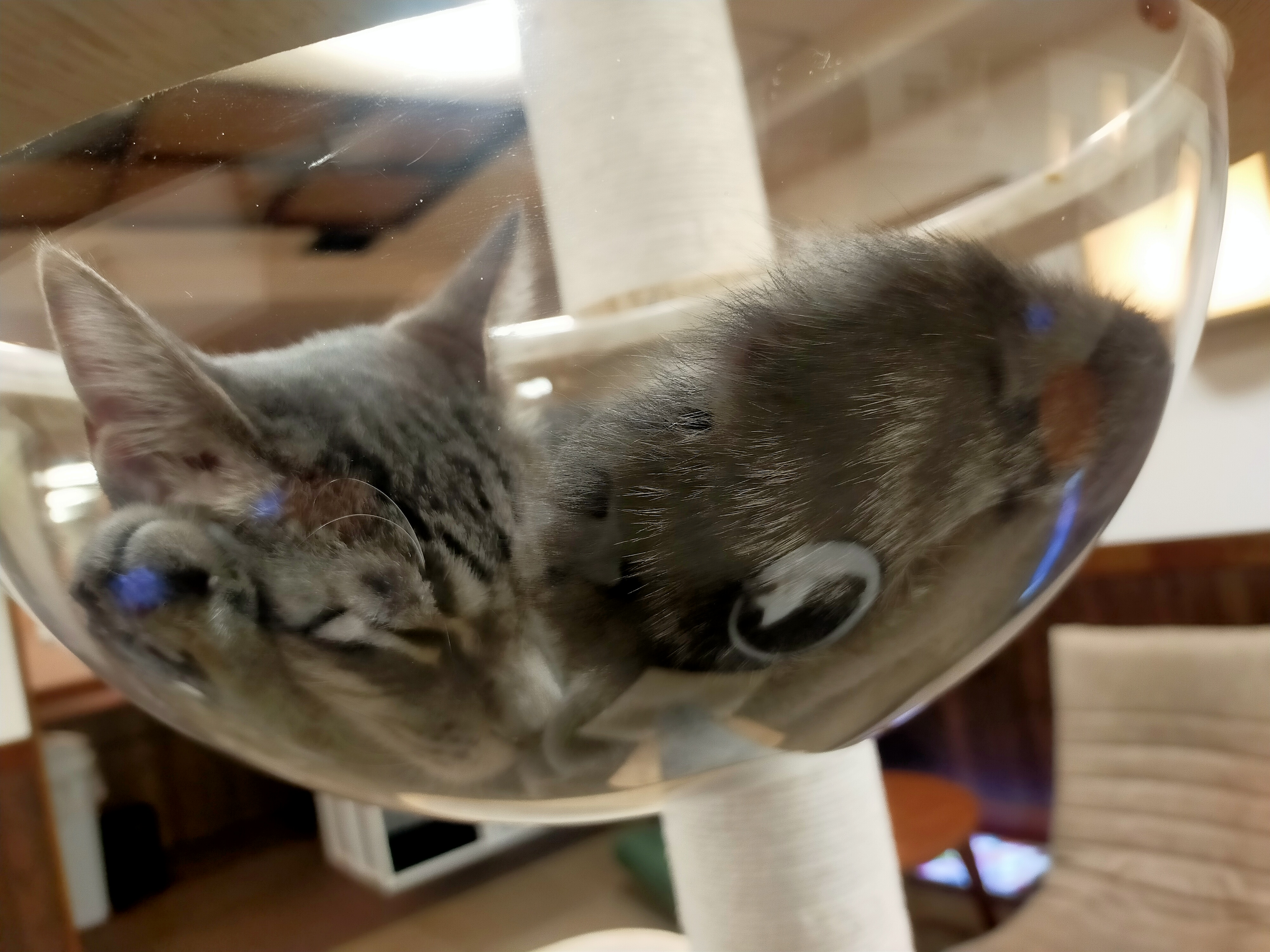 【採用担当者様向け】よく分からない人から「話を聞きにいきたい」といきなり来られましても……と思った方へ。