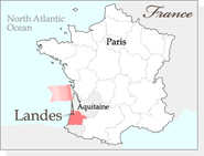 フラバンジェノールはフランス南西部ランド地方の海岸松の樹皮から取れるポリフェノールの一種です。