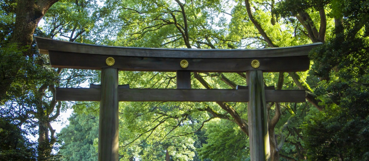 【プロダクトサービス事業部】『明治神宮の森』と『プロダクト企画』｜実現したい未来のために