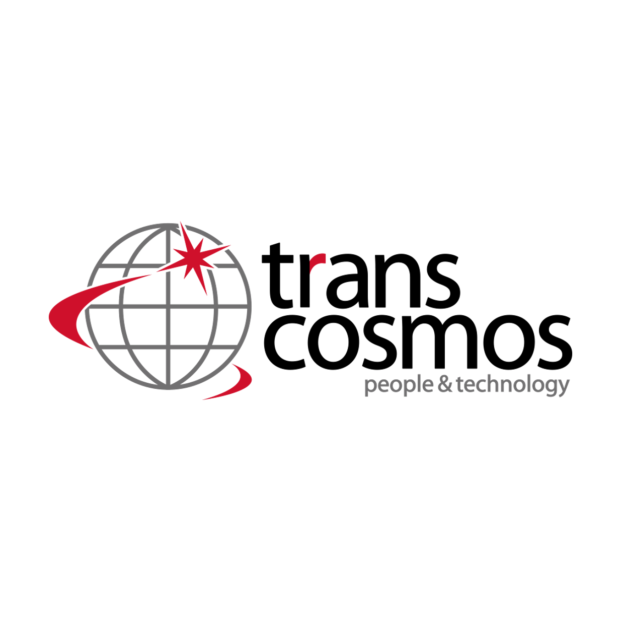 トランスコスモス株式会社 デジタルインタラクティブ事業本部