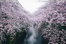 その土地ならではの体験を企画し、旅を、ホテルを魅力的にする企画開発！