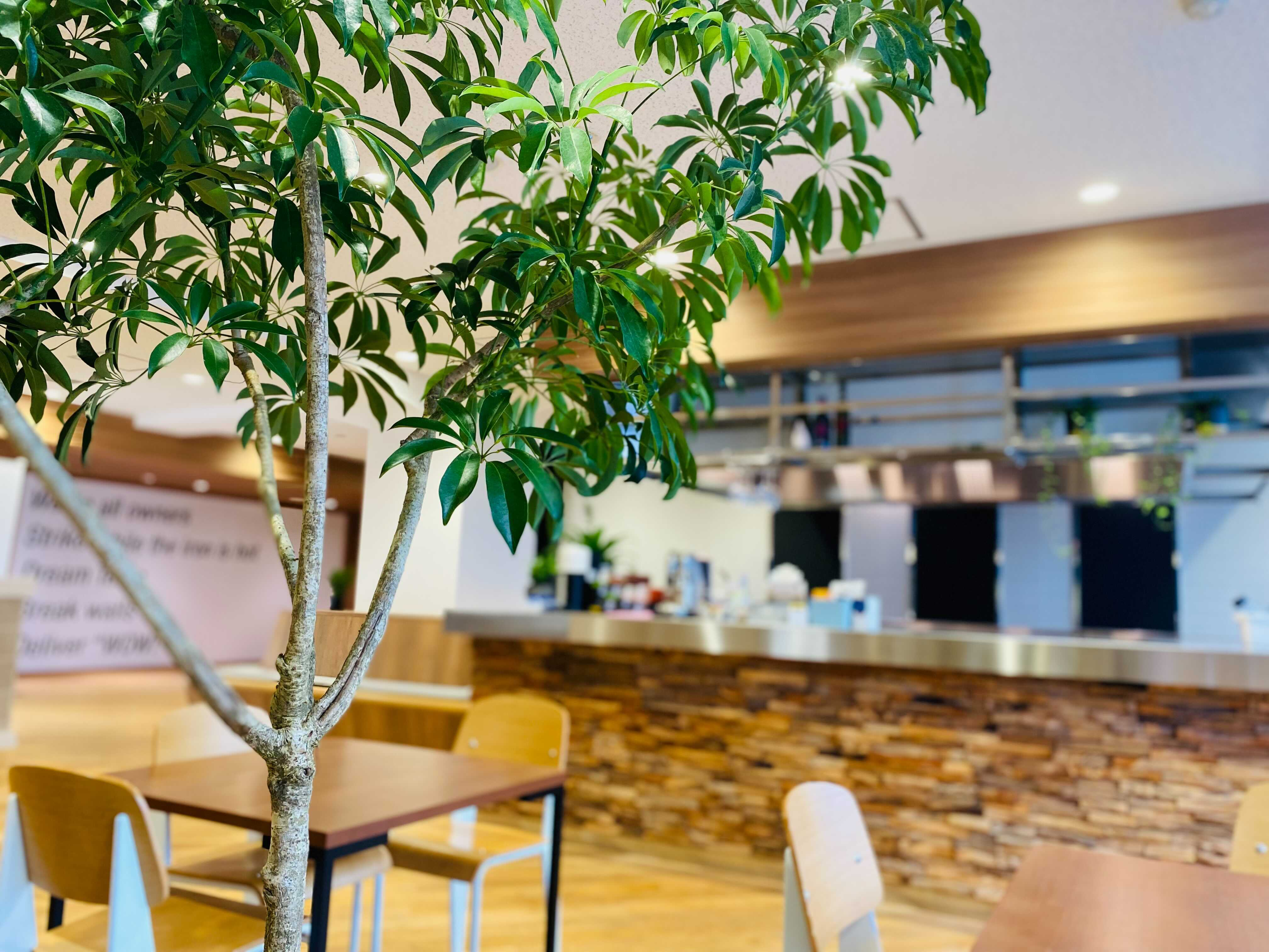 【NEWS】PR TIMESにZehitomoに関する記事を掲載いただきました