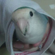 田中 闘矢