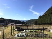 地方で野菜の生産を開始