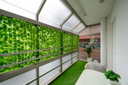 社内のカフェスペースも自由に使用できます