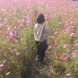 Kanae Mizumoto