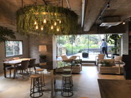 共有スペースは緑溢れる落ち着いた空間です。