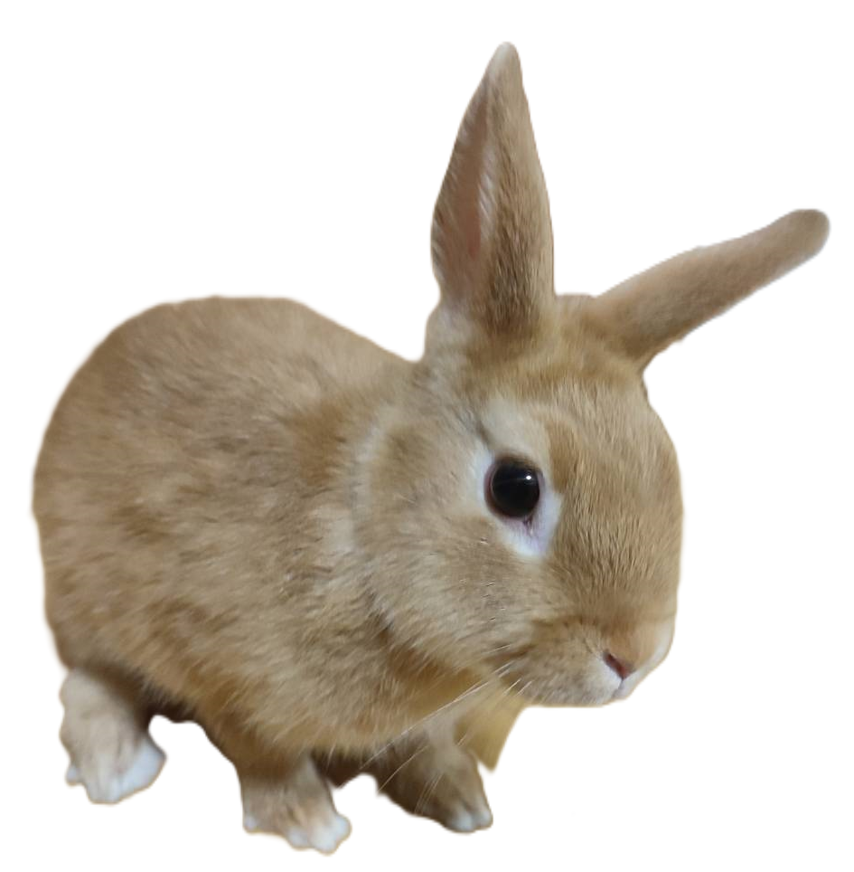 リモートワークのメリットデメリット