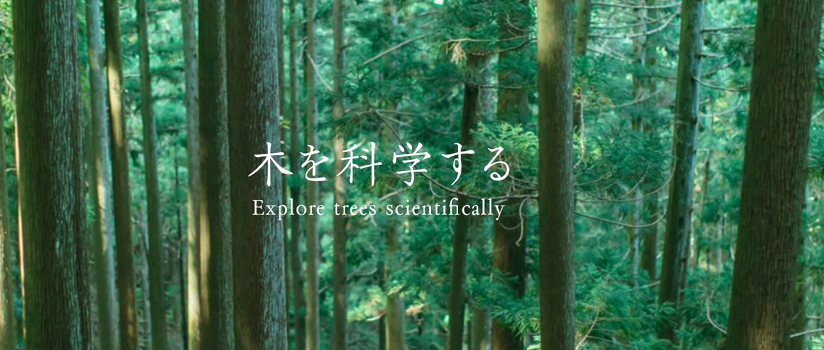 総合コンサルティング｜圧倒的なスピード感で日本の暮らしを支えませんか？