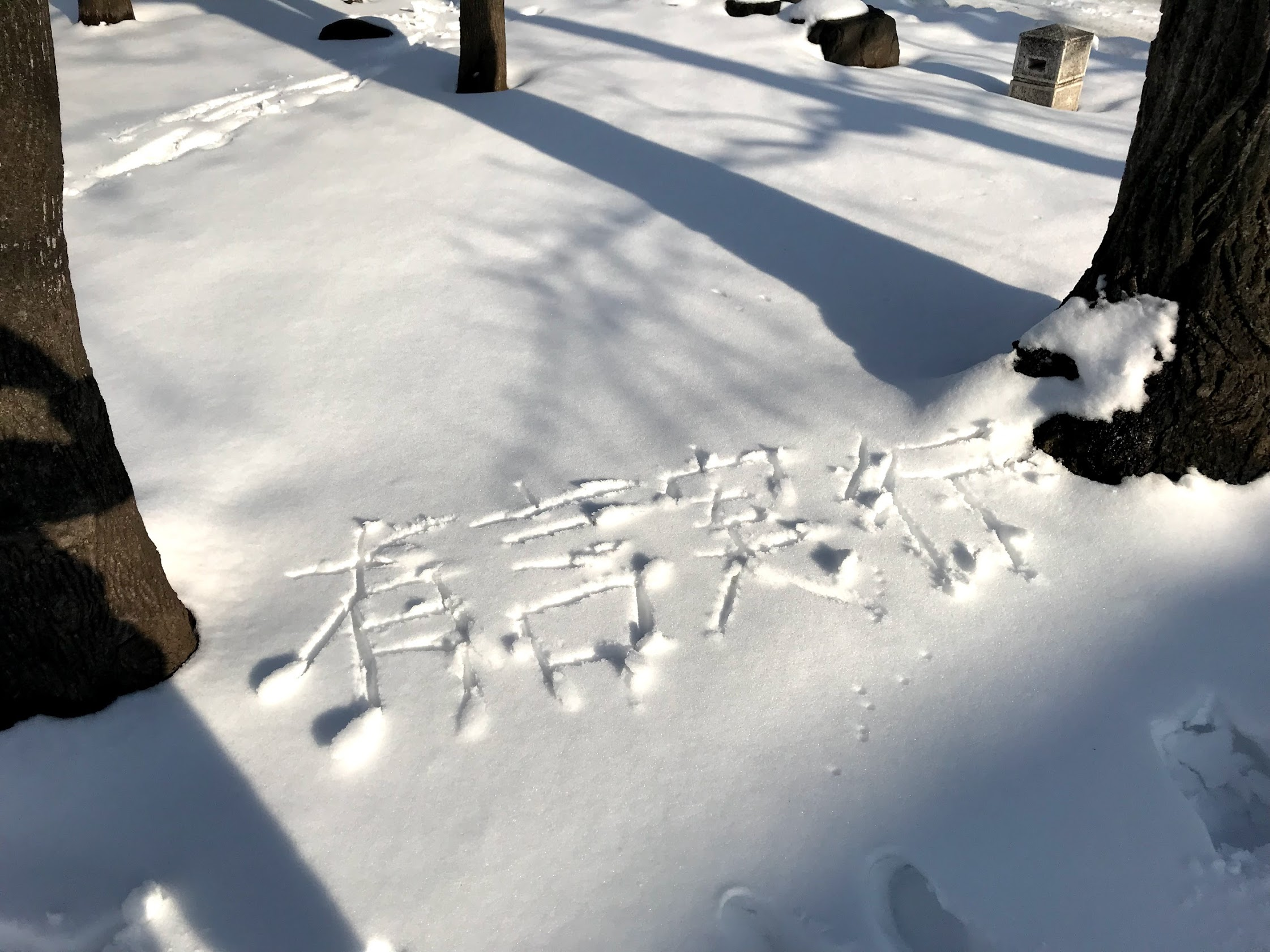 北海道↔東京のリモートワーク社員第一号