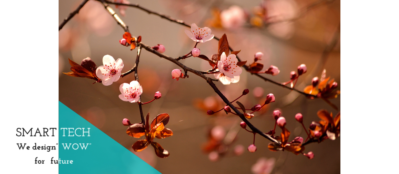 みんな違ってみんな良い。2021年新卒入社メンバー紹介！vol.3