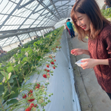 Haruna Yamaguchi