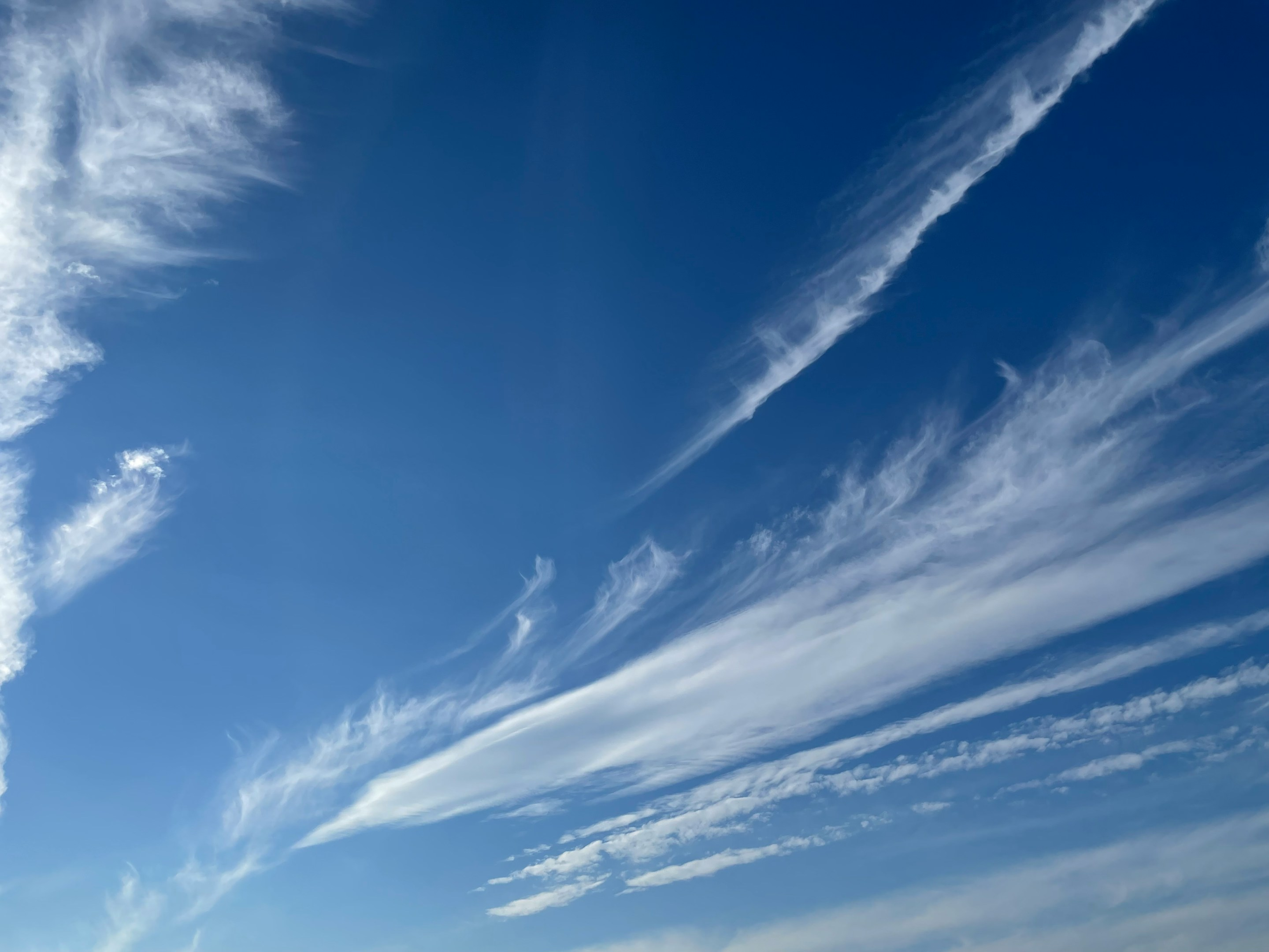 Zennはじめました