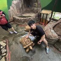 伊藤 未来