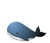 nowaki