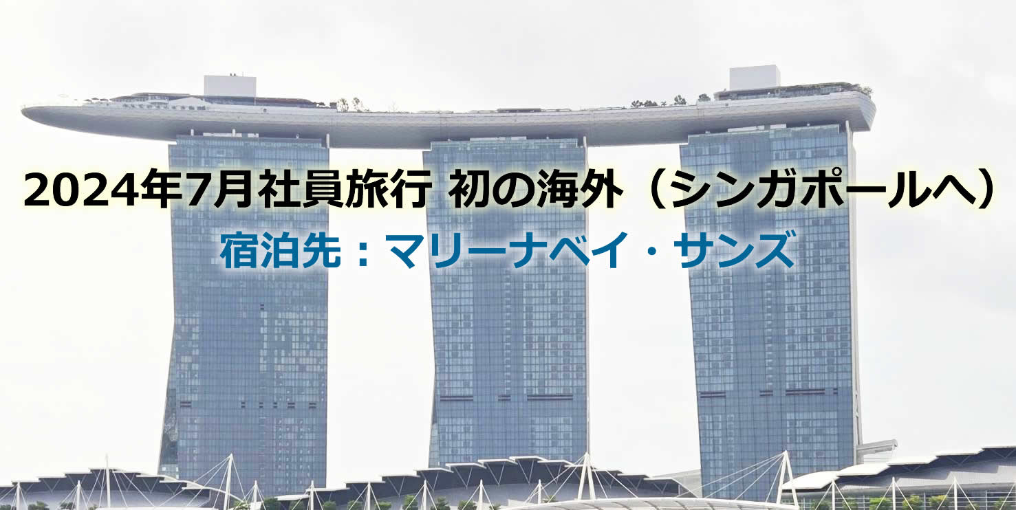 【2024年（7月）社員旅行】初海外（シンガポール）にいってまいりました！設立12年の成果だ★