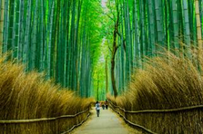 日本の魅力を世界に発信！観光情報の日本語→英語 翻訳者 募集！