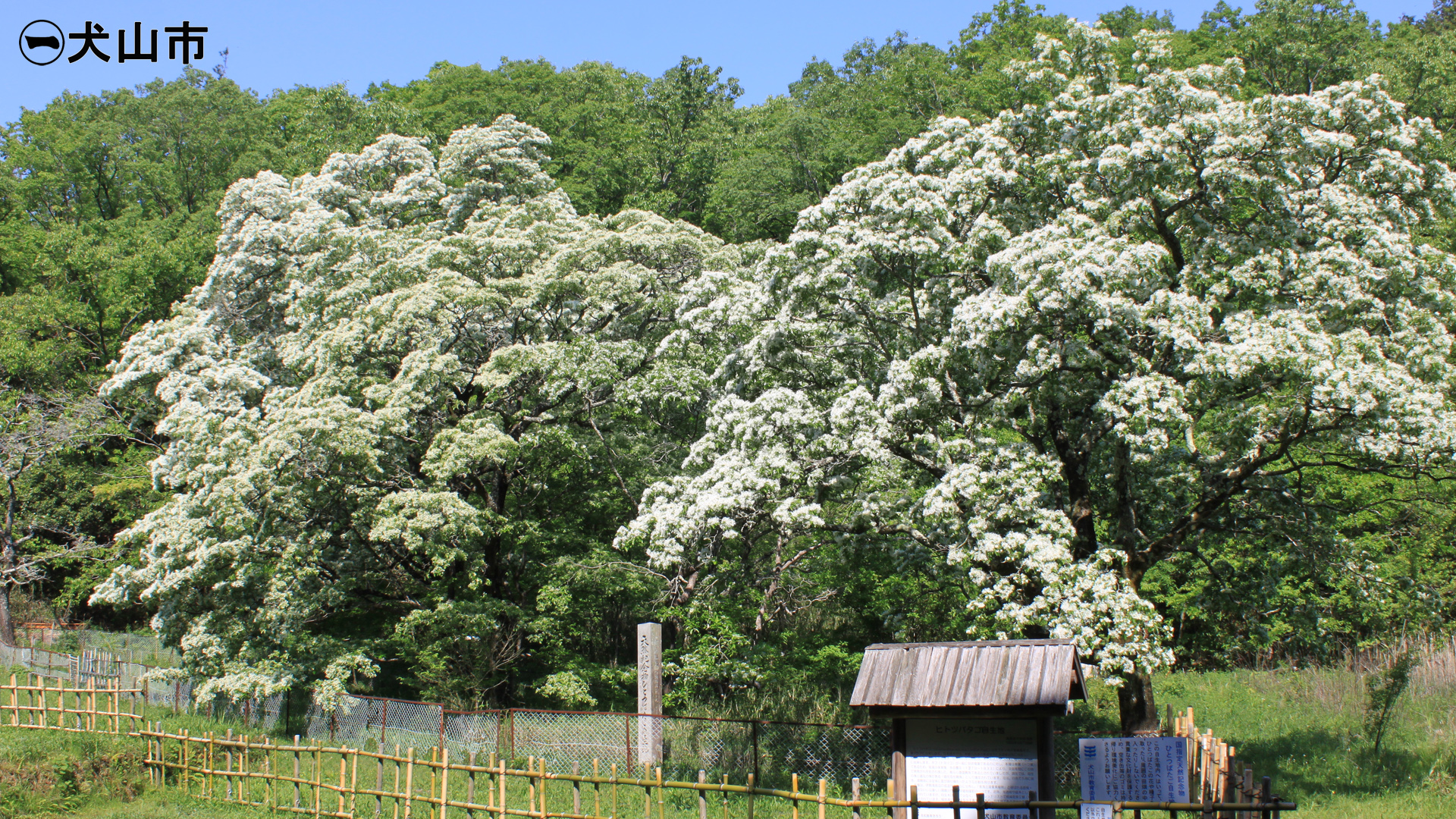 ＧW休業のお知らせ
