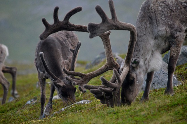 成功する人の組織は雰囲気が良い!？