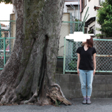 Miyu Shinohara