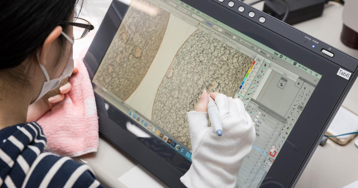 歴史の謎を解き明かしVRで次世代に継承する！考古学領域で活躍したい新卒募集 - 株式会社ラングのコーポレート系の採用 - Wantedly