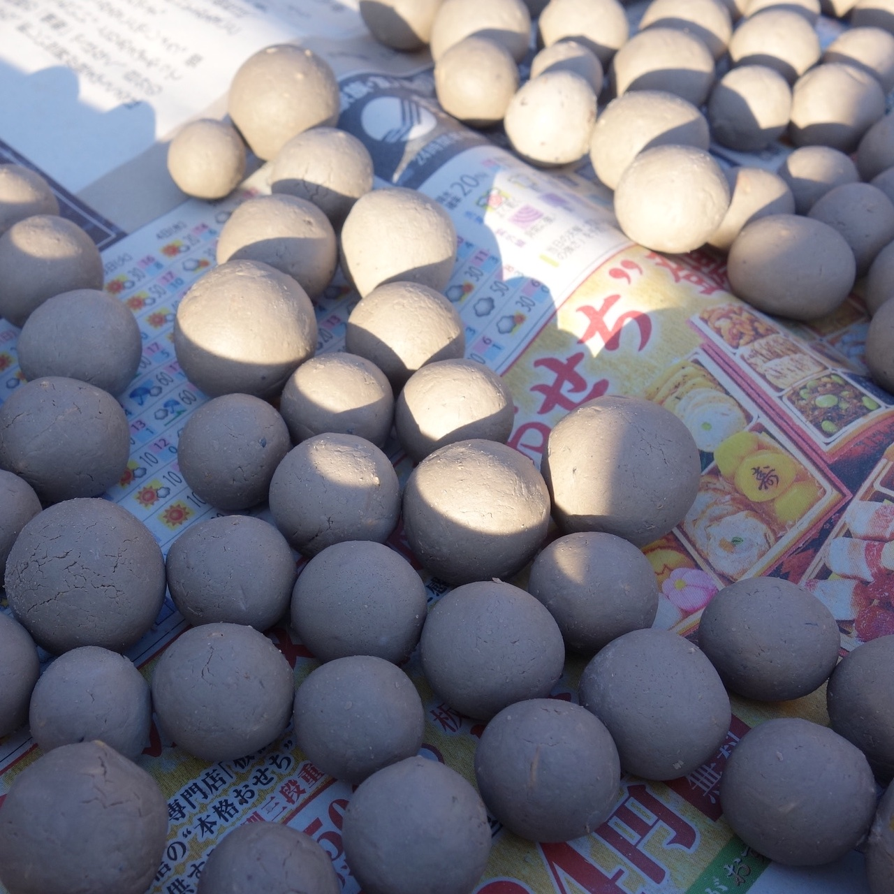 11/3(祝）”食・農・音楽”のイベント、HARVEST PARK2024に出展します！