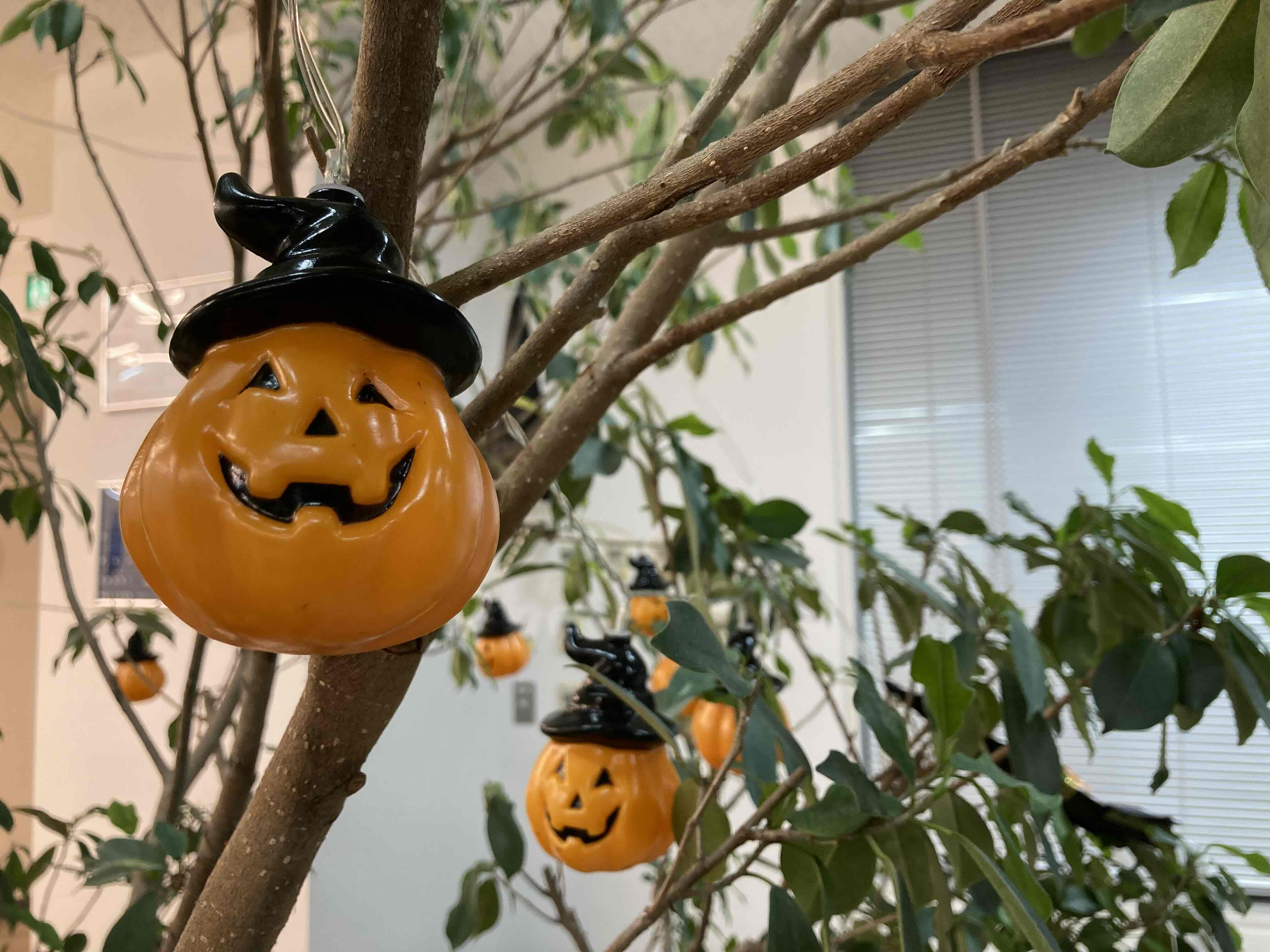 【2023ver】ハロウィン仕様のオフィスをご紹介します🎃