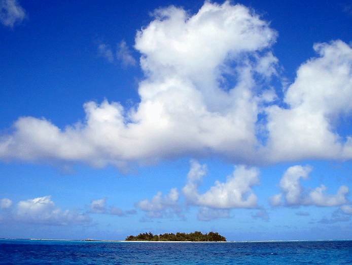 南の島に行くのが社員旅行♪
社長はキャンプファイヤーが大好きなのにｗ