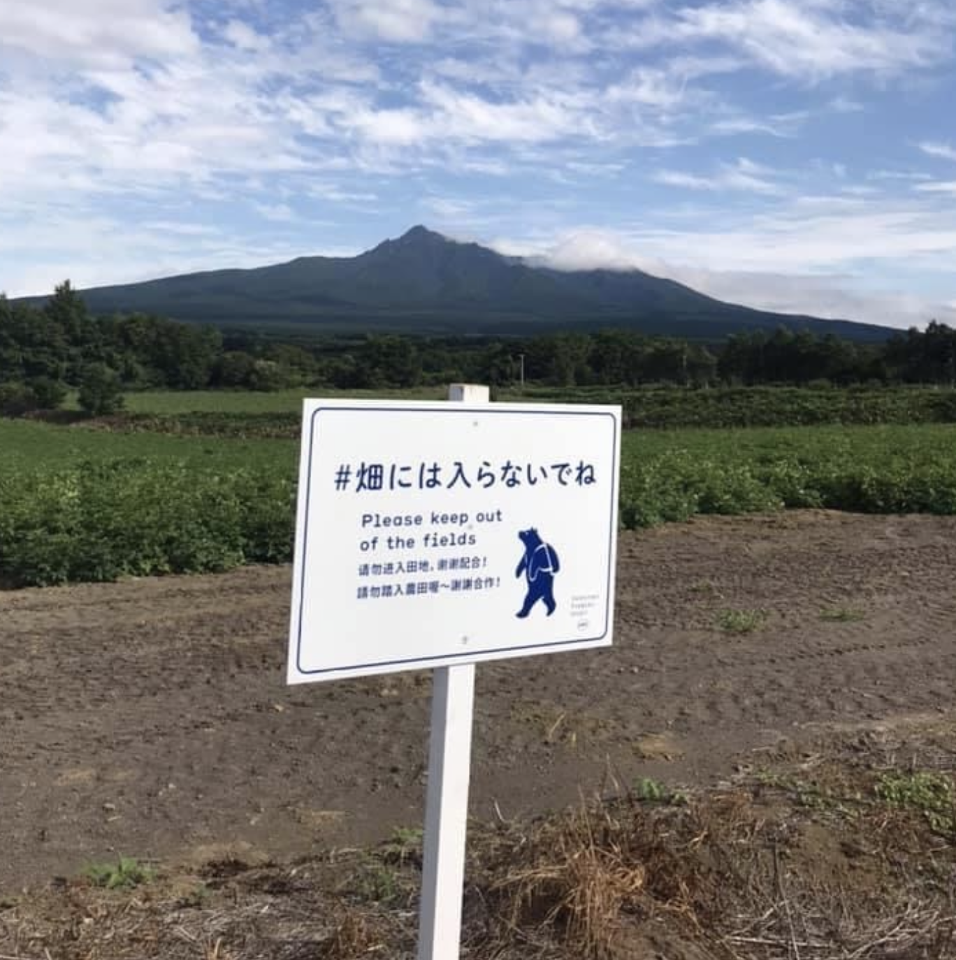 知床トコさんが単なるキャラクターを超えた瞬間のお話