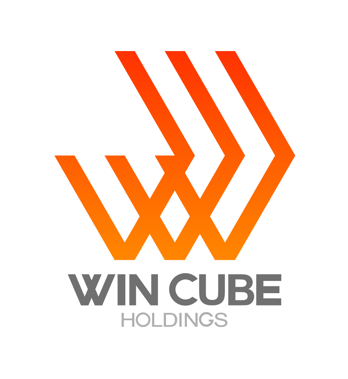 株式会社ウィンキューブホールディングス