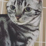 山澤