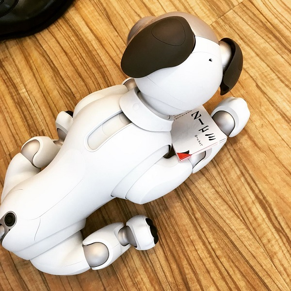 aibo出品 命名ミューZ！ビッグビートにaiboがやってきた | 株式会社ビッグ