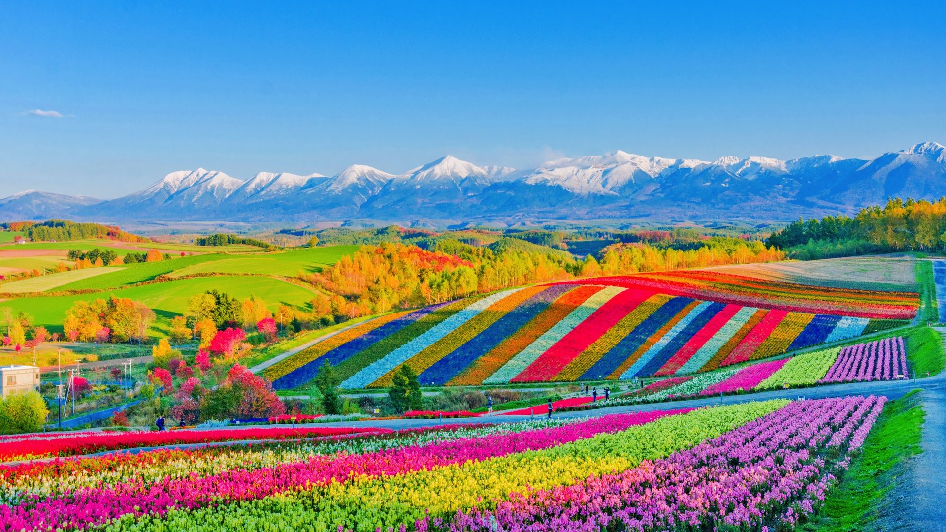 外国人視点からの一年間北海道の生活