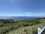 伊豆大島は海だけではなく山・植物などもとても美しいです。