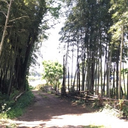 籠橋 雄樹
