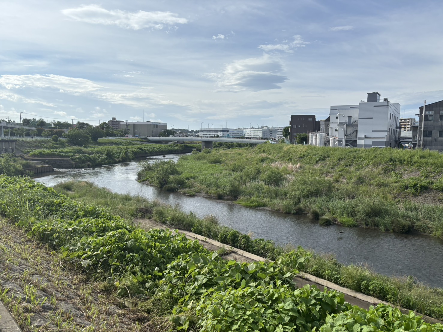 “ランMTG”してみたら、ちょっと人生が整った話