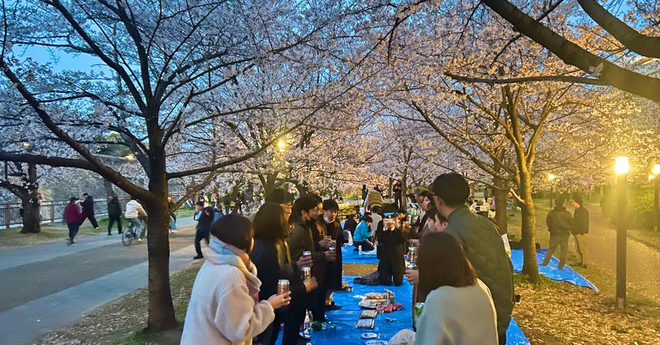 社内イベント】大阪城公園でお花見を開催しました！ | フィルター