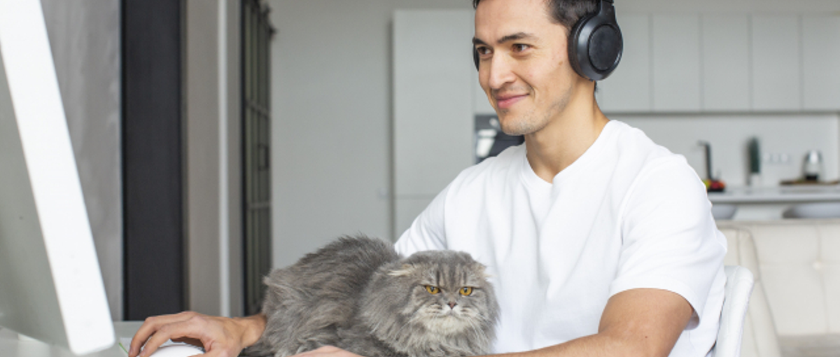 エンジニアになりたい!!  そしてフリーランスとして働きたいそんな方‼