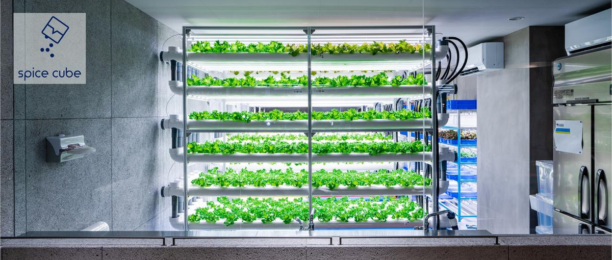 関西｜植物工場スタートアップ｜組織づくりにも関わるセールスメンバー募集中