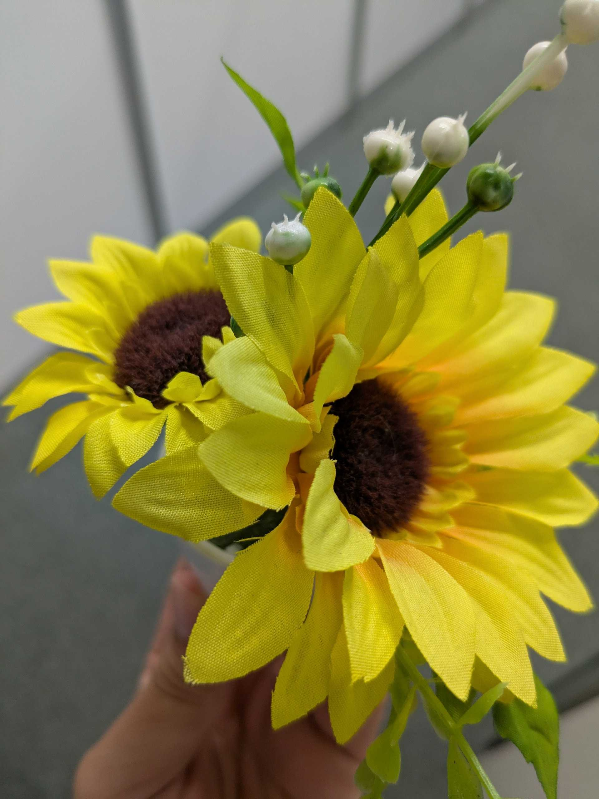 【SRI】2025年度夏季休業のお知らせ