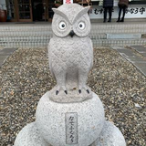 林田 美由起